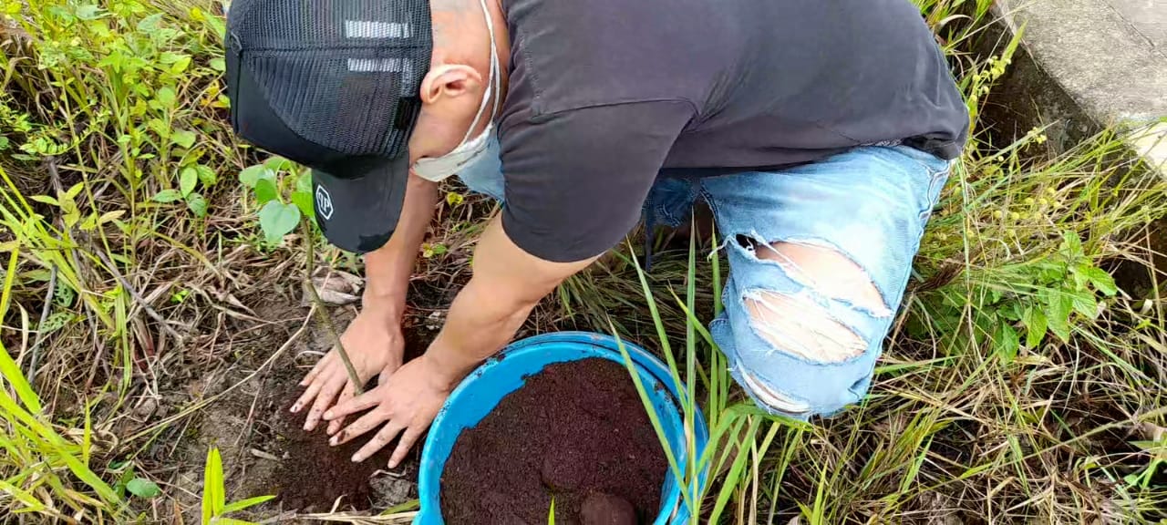 Reforestacion Putumayo 3